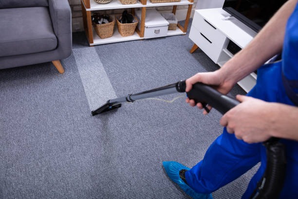 vacuuming carpet with vacuum cleaner. As carpet cleaning guide.